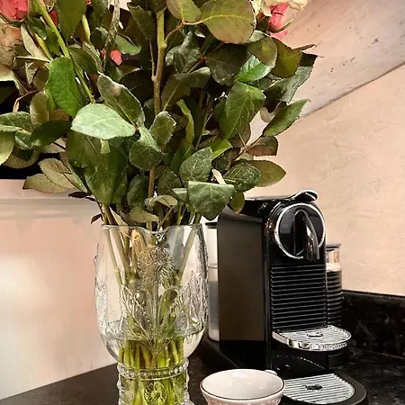 Castello San Felice * ורונה